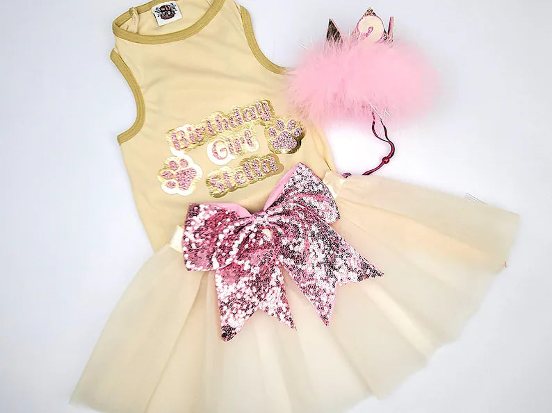 Personalized Birthday Girl Outfit | The Sparkle Vanilla Cupcake